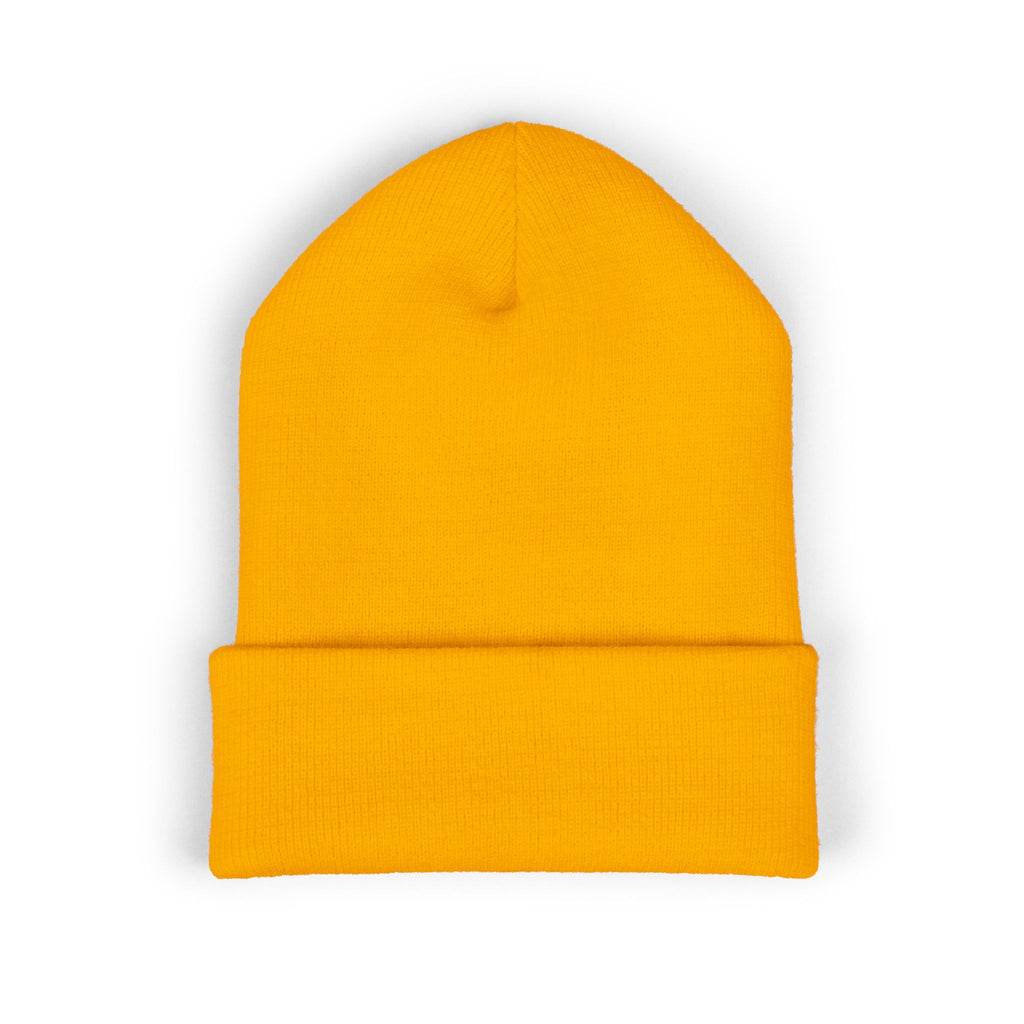 “2Filthi” Embroidered Logo Beanie in Turbo Duck Colorway